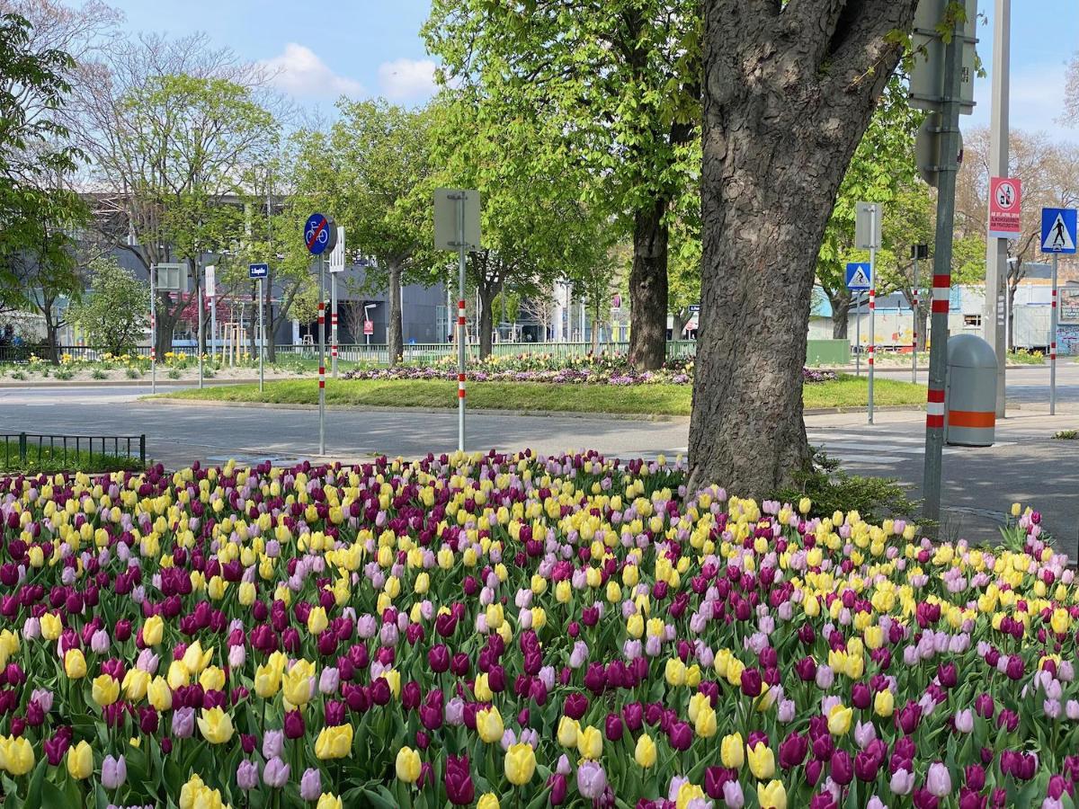 Apartamento Magic Vienna Right Next To The Prater! Exterior foto